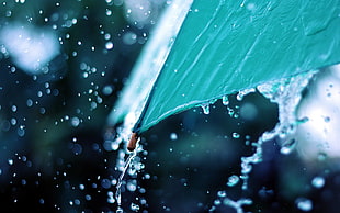 Umbrella,  Water,  Spray,  Drops 